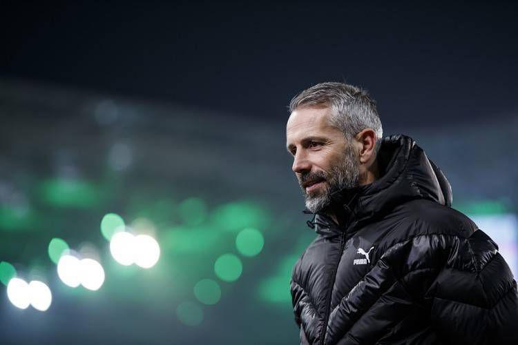 九草在线视频